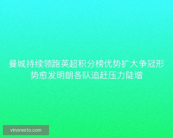 曼城持续领跑英超积分榜优势扩大争冠形势愈发明朗各队追赶压力陡增