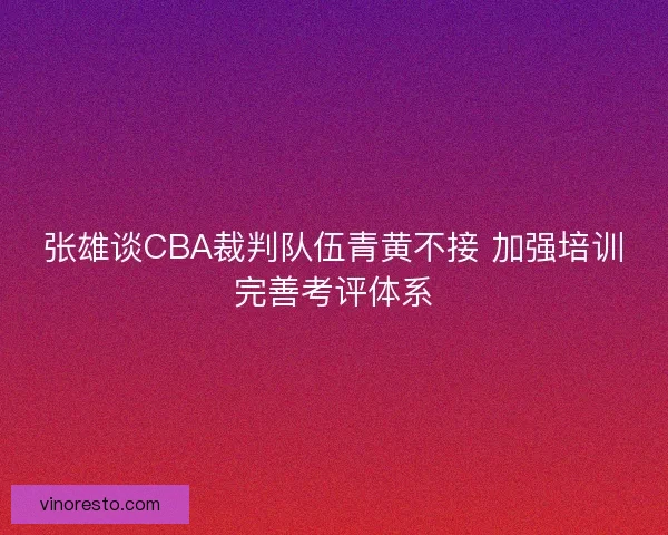 张雄谈CBA裁判队伍青黄不接 加强培训完善考评体系