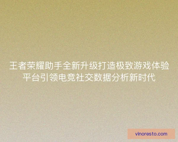 王者荣耀助手全新升级打造极致游戏体验平台引领电竞社交数据分析新时代