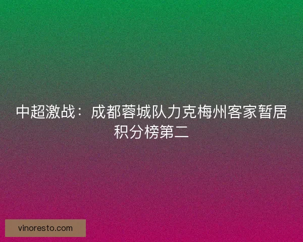 中超激战：成都蓉城队力克梅州客家暂居积分榜第二